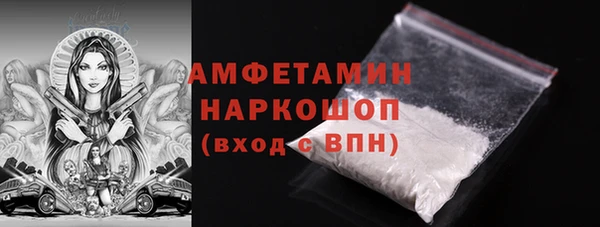 мдпв Елабуга