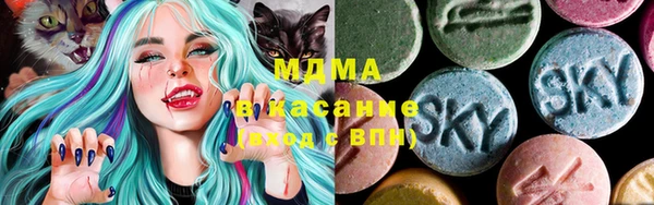 мдпв Елабуга