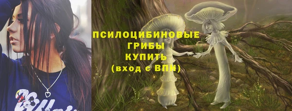 мдпв Елабуга